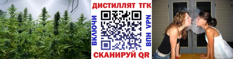 где найти   Славск  Дистиллят ТГК концентрат 