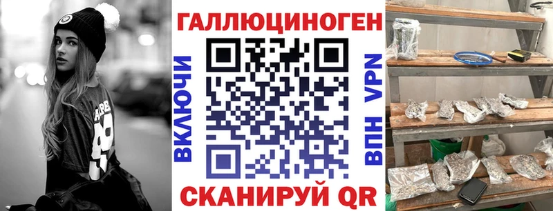 Галлюциногенные грибы мицелий кракен рабочий сайт Славск